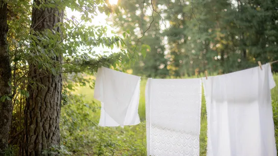 Why Eco-Friendly Laundromats Are the Future of Clean